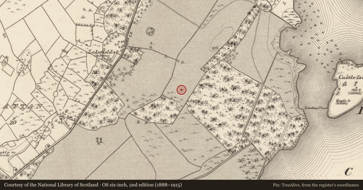 Ordnance Survey six-inch map, 2nd edition (1888–1915) covering the location of Standing stone, Lough Cutra Demesne, County Galway, with a pin at the register's coordinates