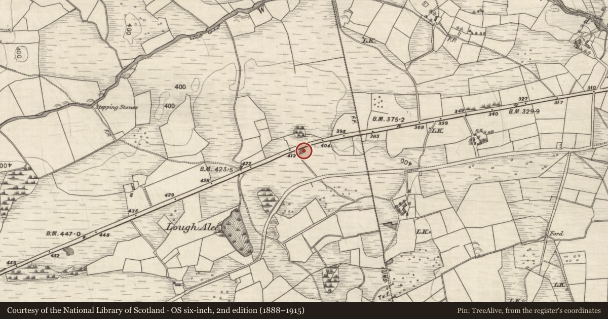 Ordnance Survey six-inch map, 2nd edition (1888–1915) covering the location of Quarry, Alleendarra West, County Galway, with a pin at the register's coordinates