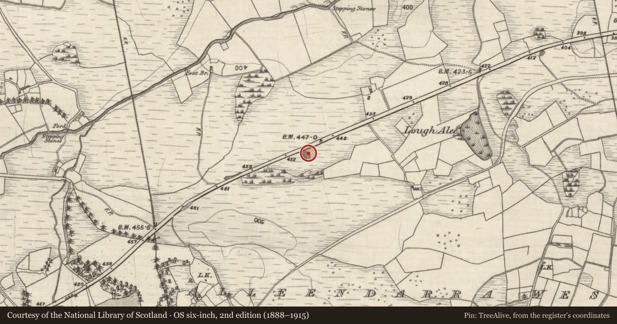 Ordnance Survey six-inch map, 2nd edition (1888–1915) covering the location of Quarry, Alleendarra West, County Galway, with a pin at the register's coordinates