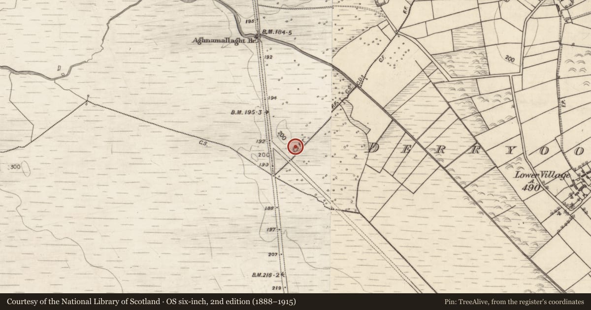 Ordnance Survey six-inch map, 2nd edition (1888–1915) covering the location of Quarry, Gorteeny, County Galway, with a pin at the register's coordinates