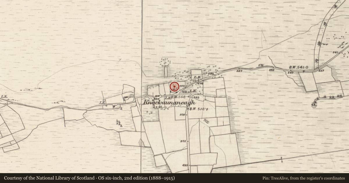 Ordnance Survey six-inch map, 2nd edition (1888–1915) covering the location of Chapel, Loughatorick North, County Galway, with a pin at the register's coordinates
