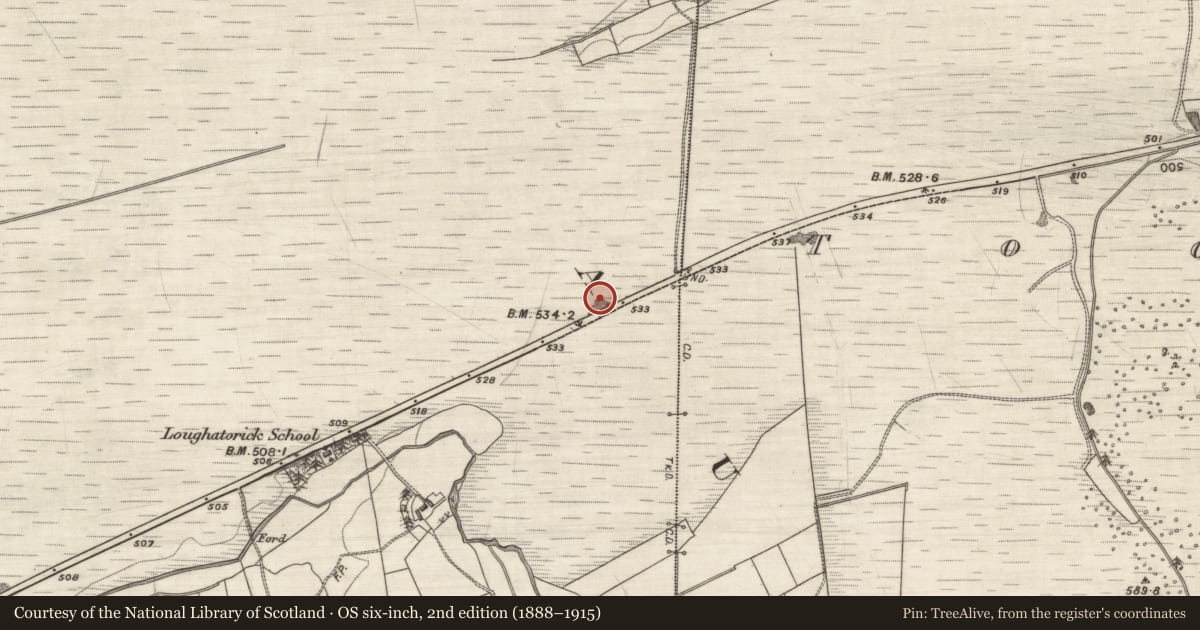 Ordnance Survey six-inch map, 2nd edition (1888–1915) covering the location of Quarry, Loughatorick South, County Galway, with a pin at the register's coordinates