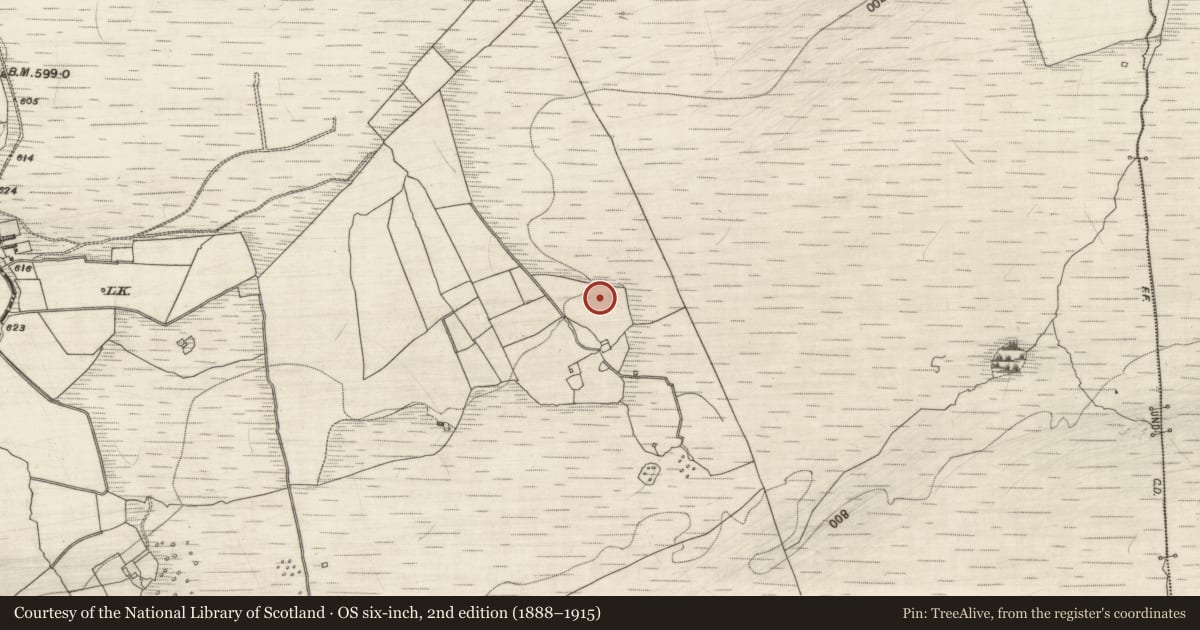 Ordnance Survey six-inch map, 2nd edition (1888–1915) covering the location of Kiln - corn-drying, Loughatorick South, County Galway, with a pin at the register's coordinates