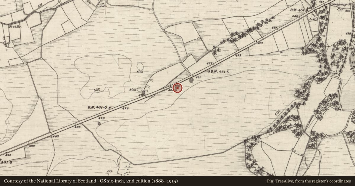 Ordnance Survey six-inch map, 2nd edition (1888–1915) covering the location of Quarry, Toorleitra, County Galway, with a pin at the register's coordinates