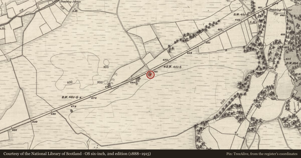 Ordnance Survey six-inch map, 2nd edition (1888–1915) covering the location of Quarry, Toorleitra, County Galway, with a pin at the register's coordinates