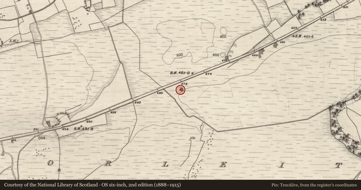 Ordnance Survey six-inch map, 2nd edition (1888–1915) covering the location of Quarry, Toorleitra, County Galway, with a pin at the register's coordinates
