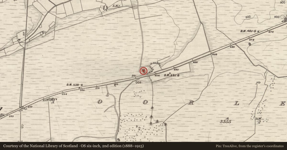 Ordnance Survey six-inch map, 2nd edition (1888–1915) covering the location of Quarry, Toorleitra, County Galway, with a pin at the register's coordinates