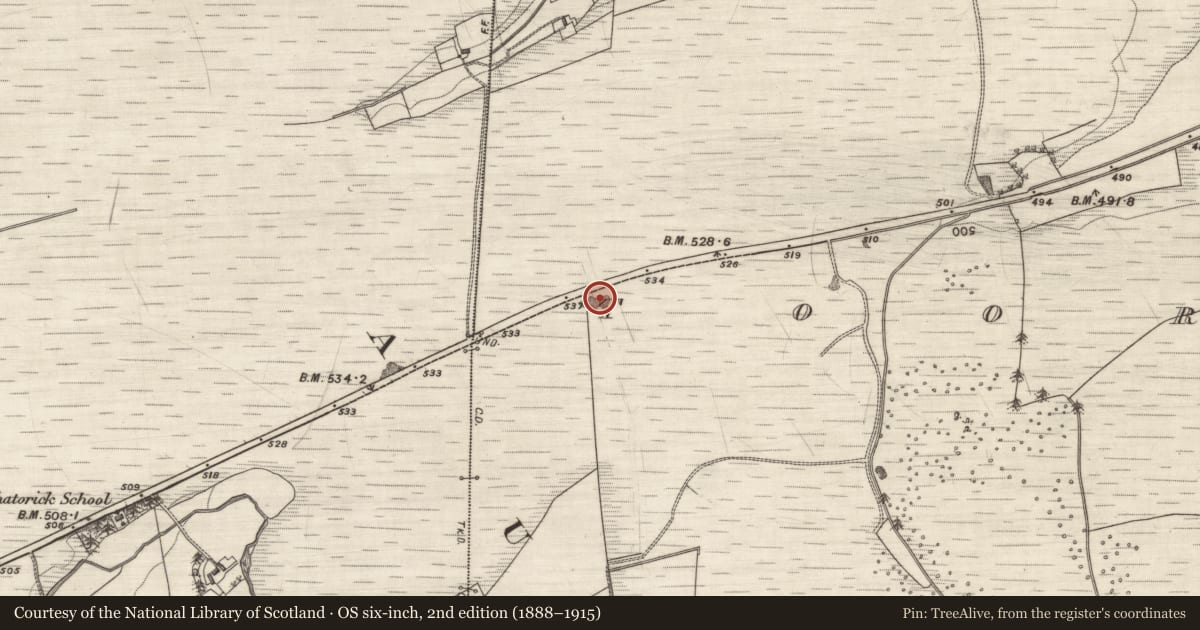 Ordnance Survey six-inch map, 2nd edition (1888–1915) covering the location of Quarry, Toorleitra, County Galway, with a pin at the register's coordinates