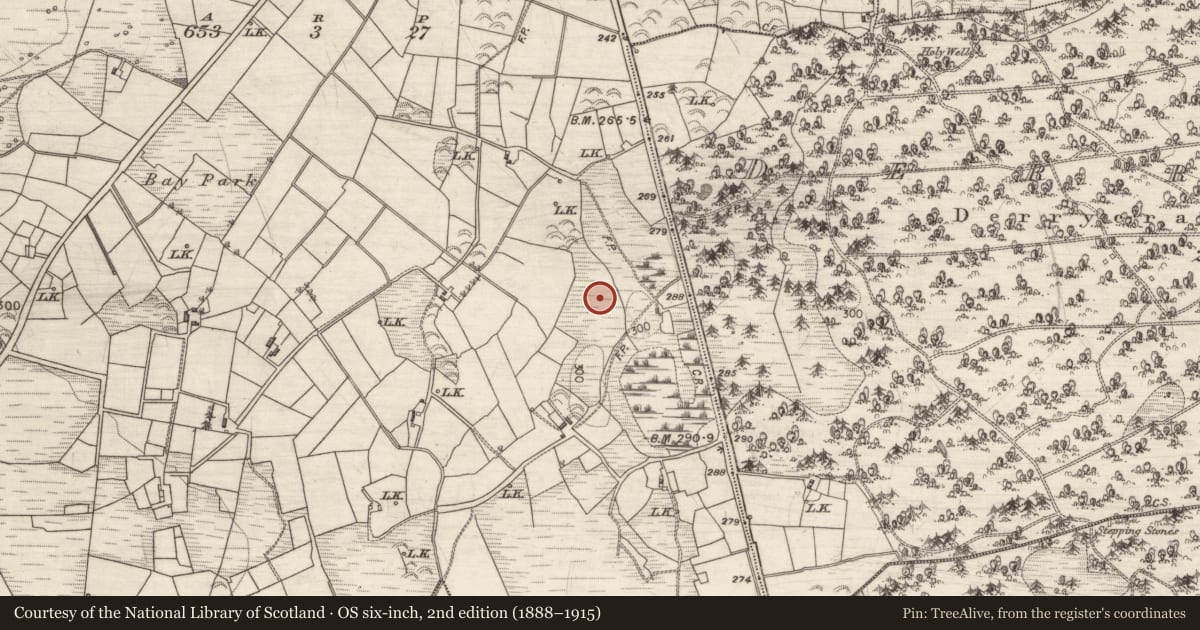 Ordnance Survey six-inch map, 2nd edition (1888–1915) covering the location of Maltings, Woodford, County Galway, with a pin at the register's coordinates