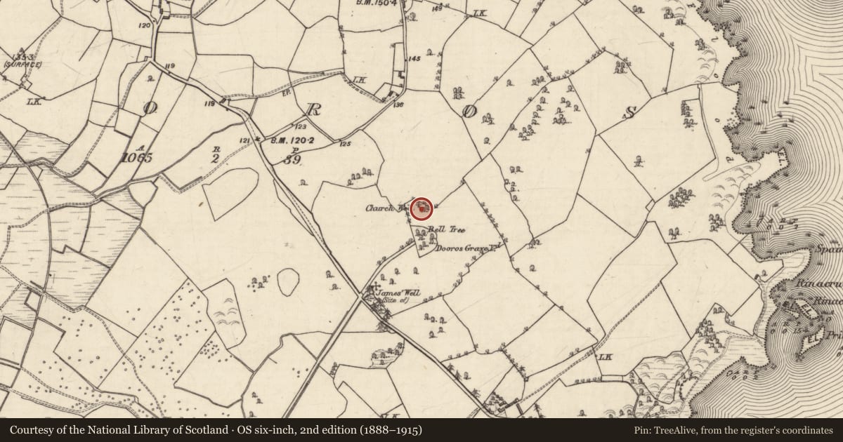Ordnance Survey six-inch map, 2nd edition (1888–1915) covering the location of Well, Dooros, County Galway, with a pin at the register's coordinates