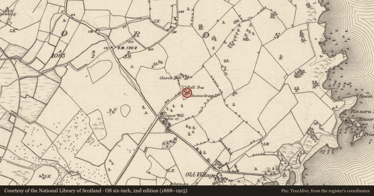 Ordnance Survey six-inch map, 2nd edition (1888–1915) covering the location of Ritual site - holy tree/bush, Dooros, County Galway, with a pin at the register's coordinates