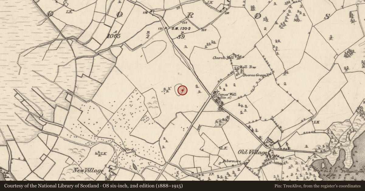 Ordnance Survey six-inch map, 2nd edition (1888–1915) covering the location of Designed landscape feature, Dooros, County Galway, with a pin at the register's coordinates