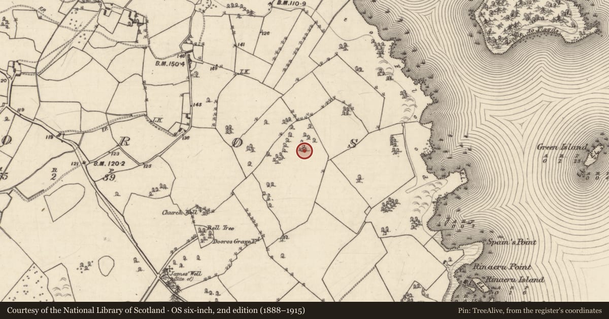 Ordnance Survey six-inch map, 2nd edition (1888–1915) covering the location of Quarry, Dooros, County Galway, with a pin at the register's coordinates