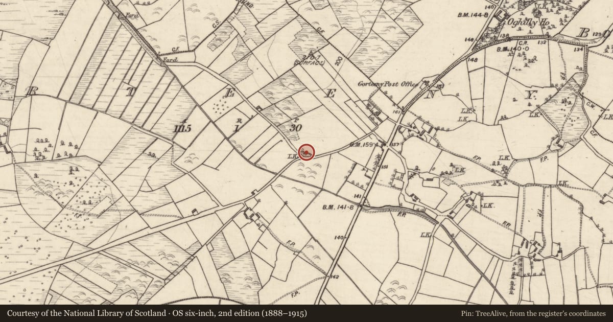 Ordnance Survey six-inch map, 2nd edition (1888–1915) covering the location of Quarry, Gorteeny, County Galway, with a pin at the register's coordinates