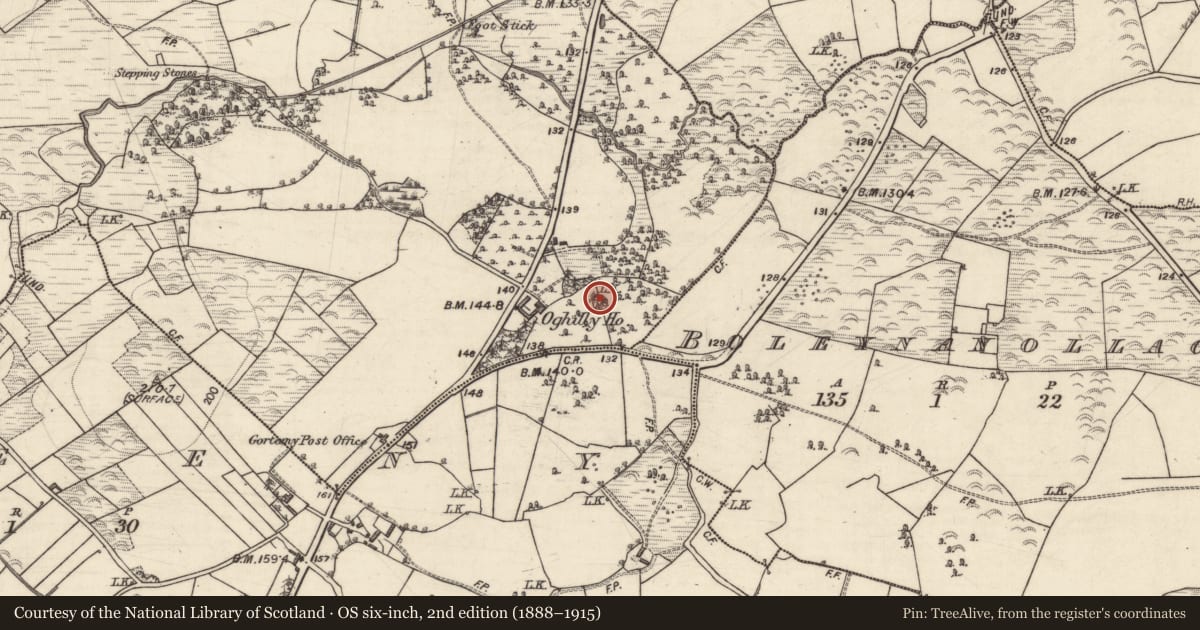Ordnance Survey six-inch map, 2nd edition (1888–1915) covering the location of Designed landscape feature, Oghilly, County Galway, with a pin at the register's coordinates