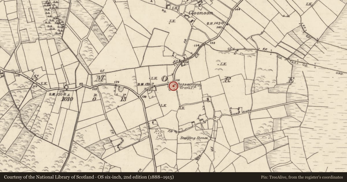 Ordnance Survey six-inch map, 2nd edition (1888–1915) covering the location of Cross-slab, Rosmore, County Galway, with a pin at the register's coordinates