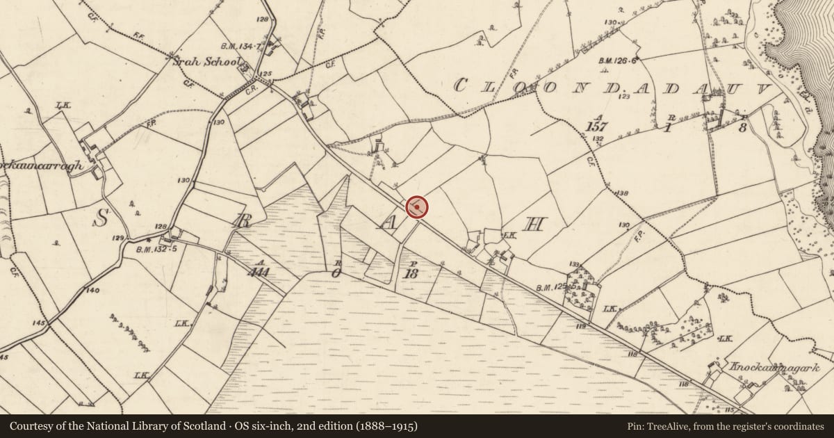 Ordnance Survey six-inch map, 2nd edition (1888–1915) covering the location of Quarry, Srah, County Galway, with a pin at the register's coordinates