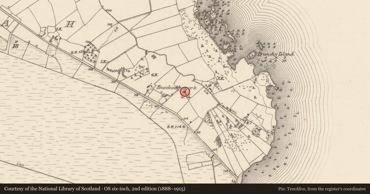 Ordnance Survey six-inch map, 2nd edition (1888–1915) covering the location of Kiln - lime, Srah, County Galway, with a pin at the register's coordinates