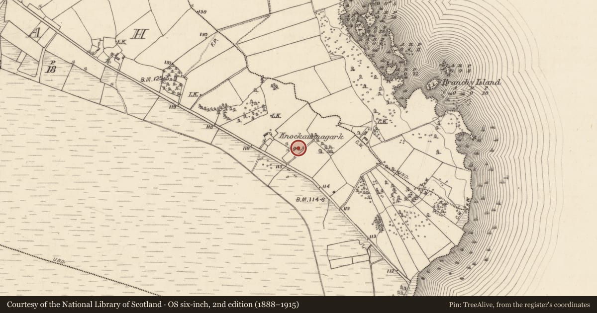 Ordnance Survey six-inch map, 2nd edition (1888–1915) covering the location of House - 18th/19th century, Srah, County Galway, with a pin at the register's coordinates