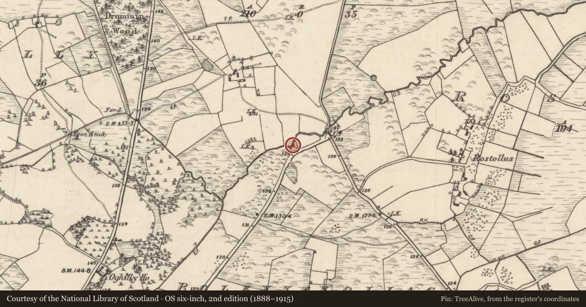 Ordnance Survey six-inch map, 2nd edition (1888–1915) covering the location of Ritual site - holy well, Boleynanollag, County Galway, with a pin at the register's coordinates