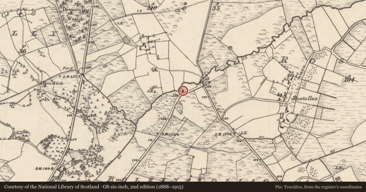 Ordnance Survey six-inch map, 2nd edition (1888–1915) covering the location of Children's burial ground, Boleynanollag, County Galway, with a pin at the register's coordinates