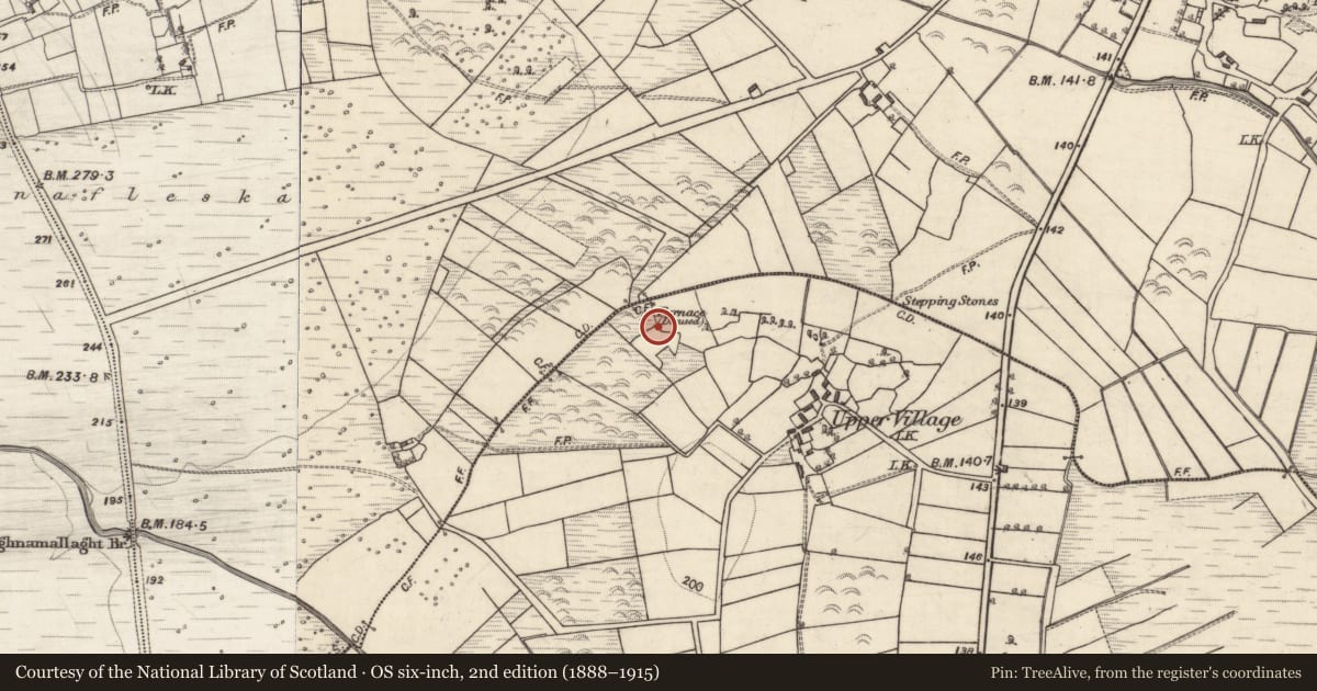 Ordnance Survey six-inch map, 2nd edition (1888–1915) covering the location of Furnace, Derryoober East, County Galway, with a pin at the register's coordinates