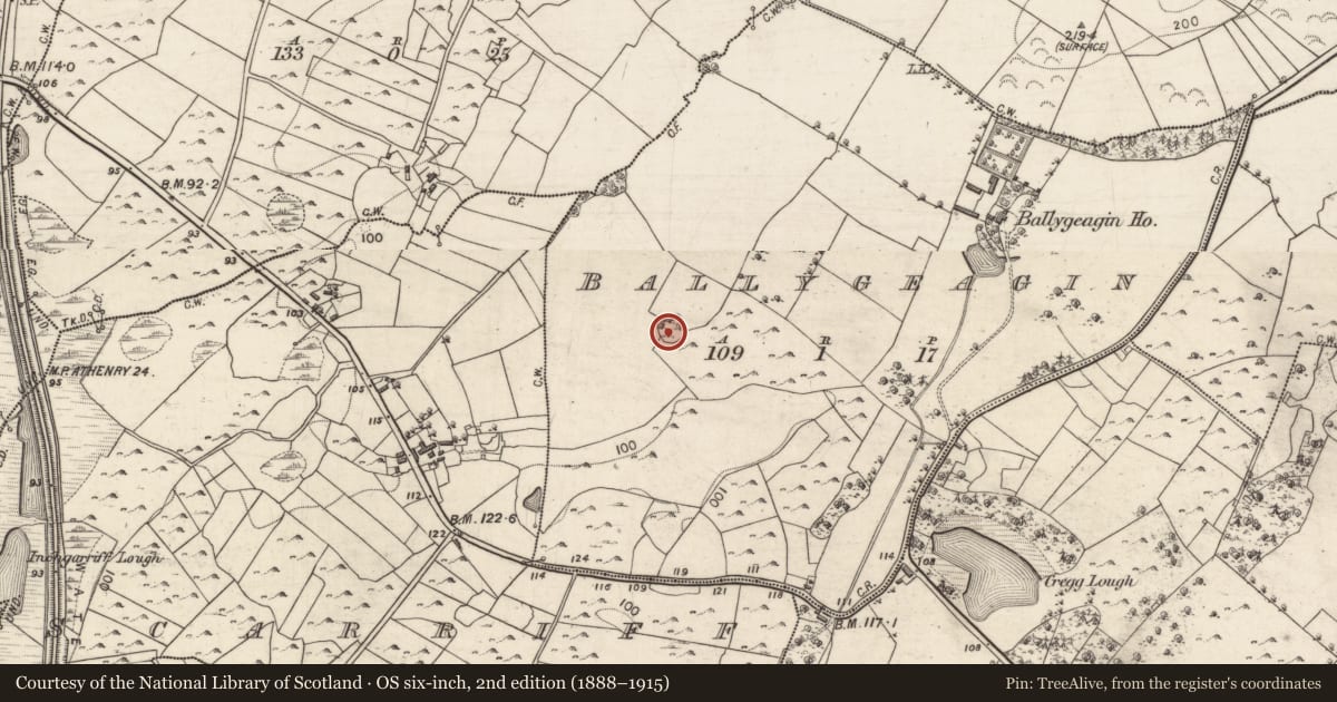 Ordnance Survey six-inch map, 2nd edition (1888–1915) covering the location of Ringfort - cashel, Ballygeagin, County Galway, with a pin at the register's coordinates