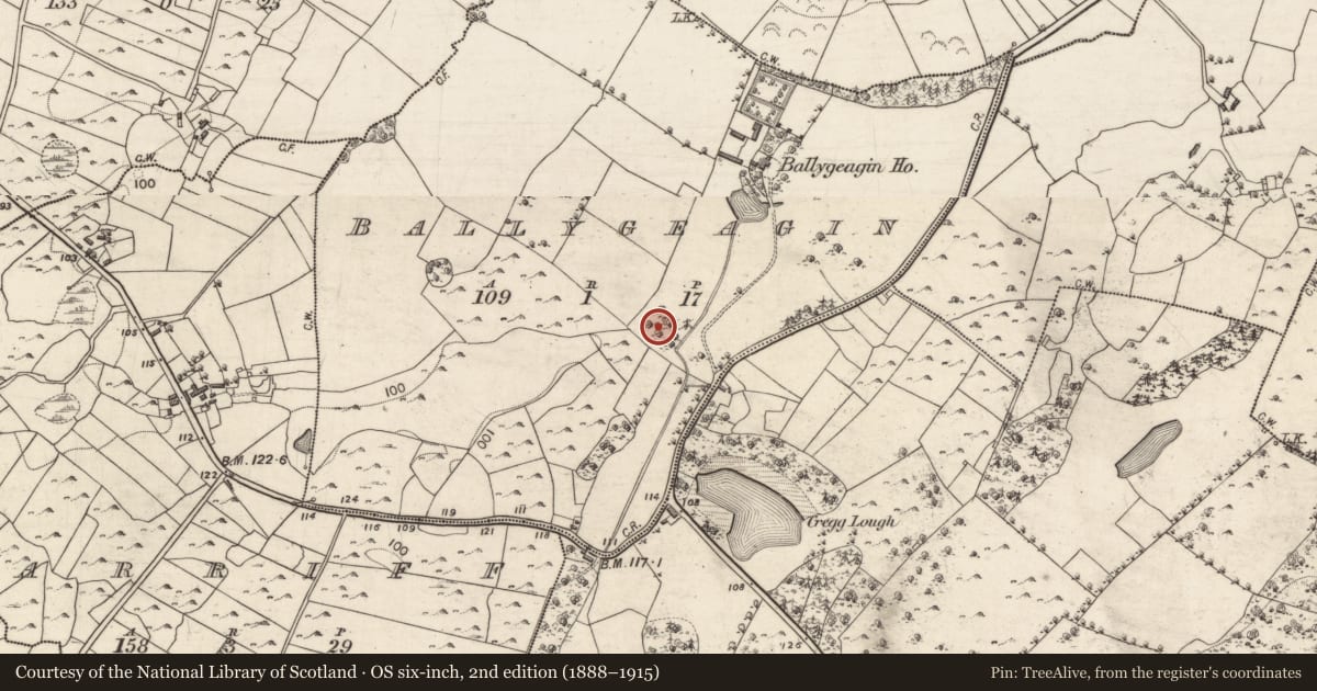 Ordnance Survey six-inch map, 2nd edition (1888–1915) covering the location of Designed landscape feature, Ballygeagin, County Galway, with a pin at the register's coordinates