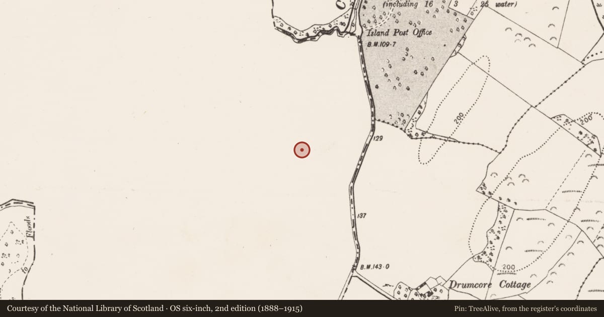 Ordnance Survey six-inch map, 2nd edition (1888–1915) covering the location of Anomalous stone group, Carheenybaun, County Galway, with a pin at the register's coordinates