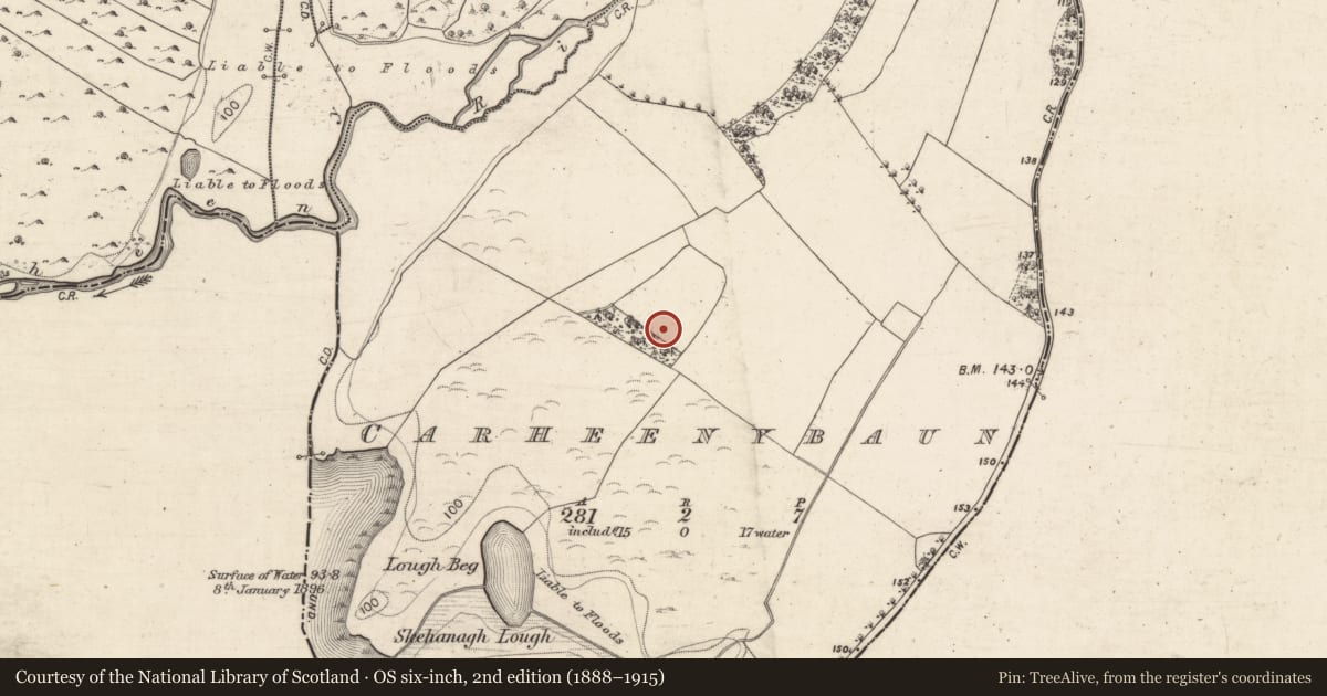 Ordnance Survey six-inch map, 2nd edition (1888–1915) covering the location of Anomalous stone group, Carheenybaun, County Galway, with a pin at the register's coordinates