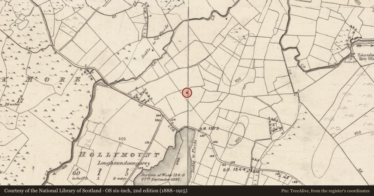 Ordnance Survey six-inch map, 2nd edition (1888–1915) covering the location of Ringfort - rath, Gilroe, County Galway, with a pin at the register's coordinates