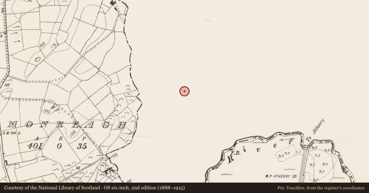 Ordnance Survey six-inch map, 2nd edition (1888–1915) covering the location of Ringfort - cashel, Gortavoher, County Galway, with a pin at the register's coordinates