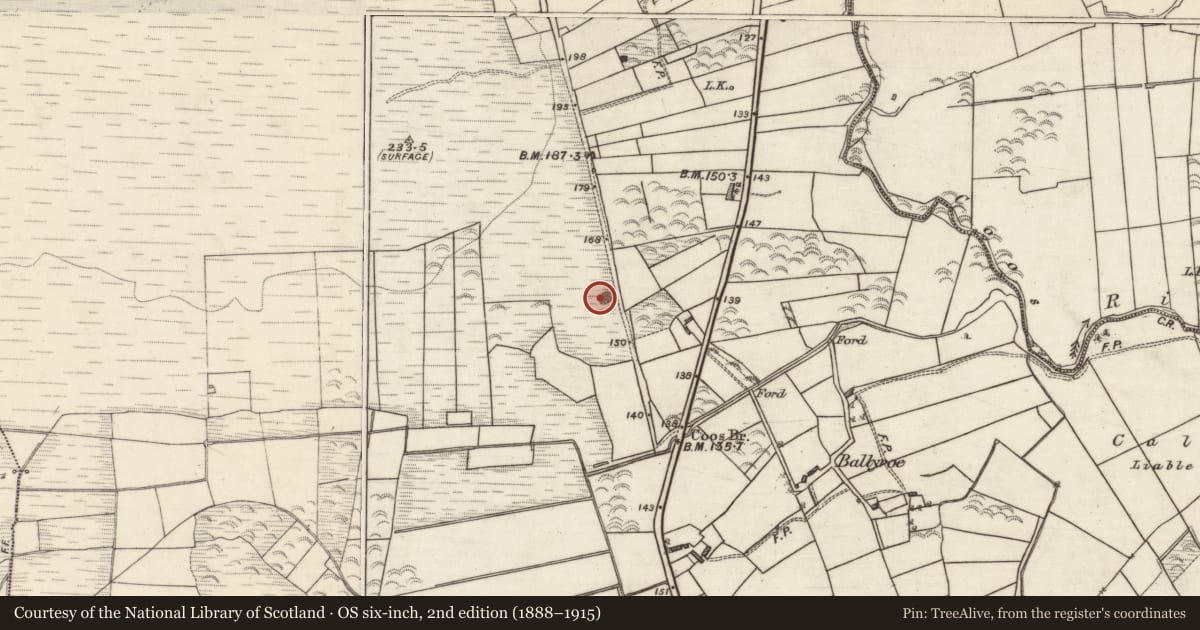 Ordnance Survey six-inch map, 2nd edition (1888–1915) covering the location of Quarry, Coos South, County Galway, with a pin at the register's coordinates