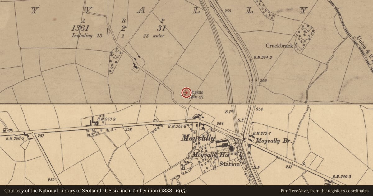 Ordnance Survey six-inch map, 2nd edition (1888–1915) covering the location of Castle - unclassified, Moyvally, County Kildare, with a pin at the register's coordinates