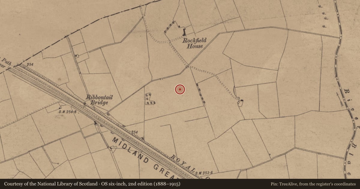 Ordnance Survey six-inch map, 2nd edition (1888–1915) covering the location of Enclosure, Moyvally, County Kildare, with a pin at the register's coordinates