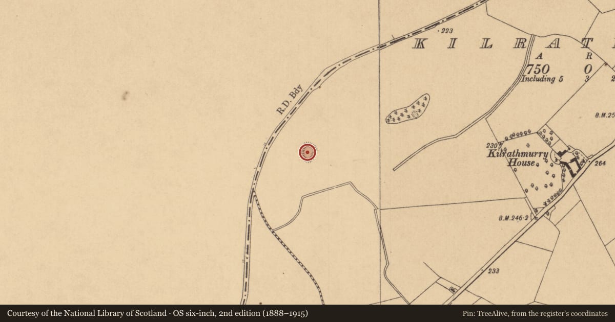 Ordnance Survey six-inch map, 2nd edition (1888–1915) covering the location of Moated site, Kilrathmurry, County Kildare, with a pin at the register's coordinates