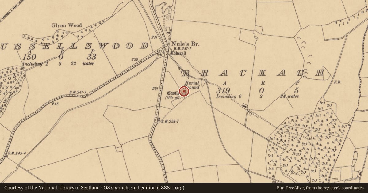 Ordnance Survey six-inch map, 2nd edition (1888–1915) covering the location of Castle - unclassified, Brackagh, County Kildare, with a pin at the register's coordinates