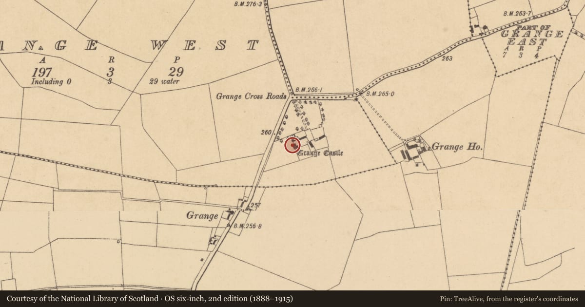 Ordnance Survey six-inch map, 2nd edition (1888–1915) covering the location of Castle - tower house, Grange West, County Kildare, with a pin at the register's coordinates