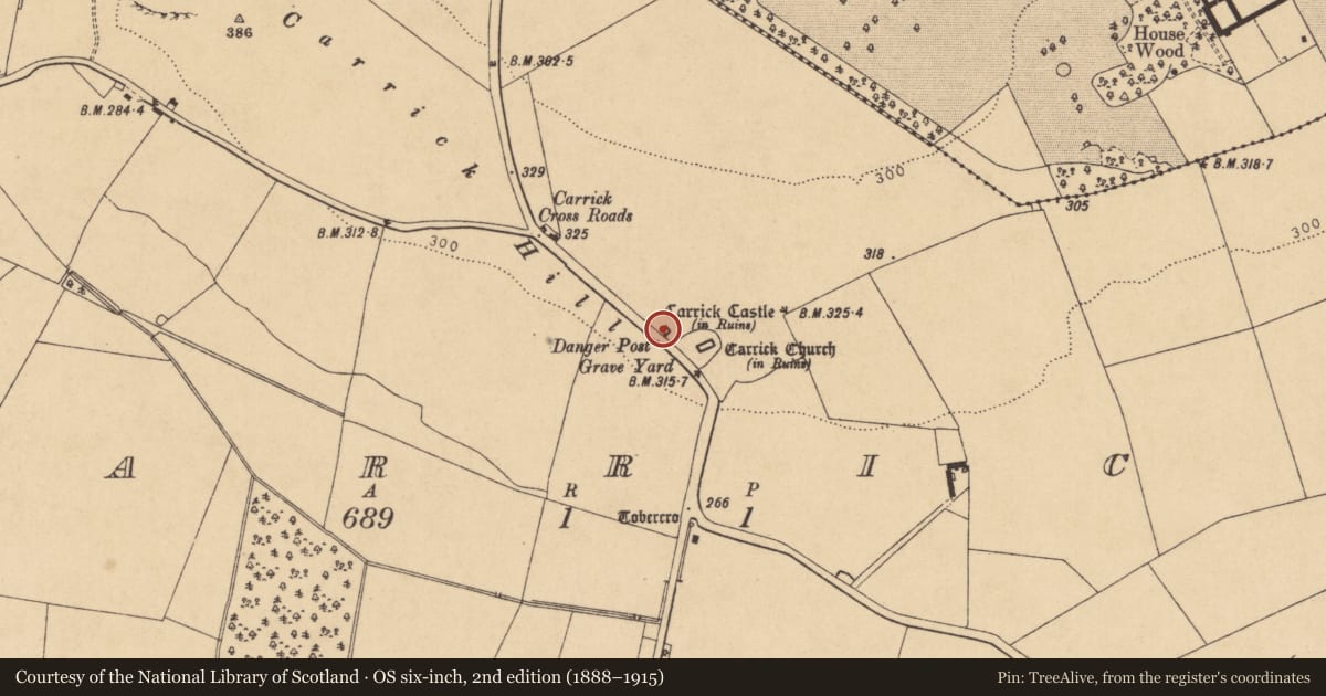 Ordnance Survey six-inch map, 2nd edition (1888–1915) covering the location of Sheela-na-gig, Carrick, County Kildare, with a pin at the register's coordinates