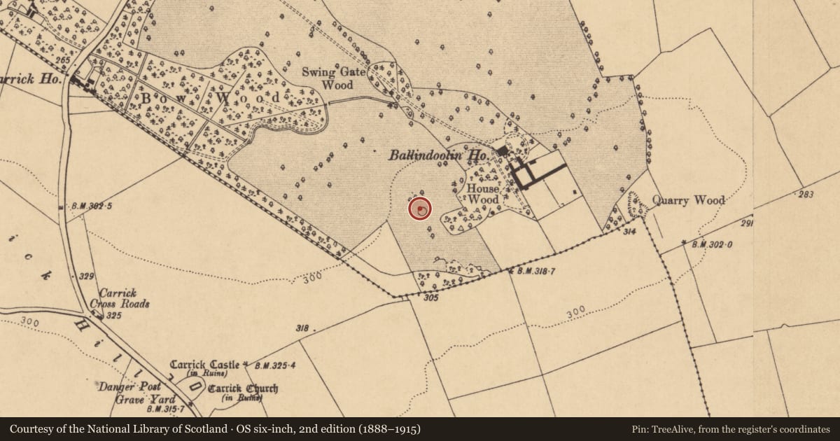Ordnance Survey six-inch map, 2nd edition (1888–1915) covering the location of Mound, Ballindoolin, County Kildare, with a pin at the register's coordinates