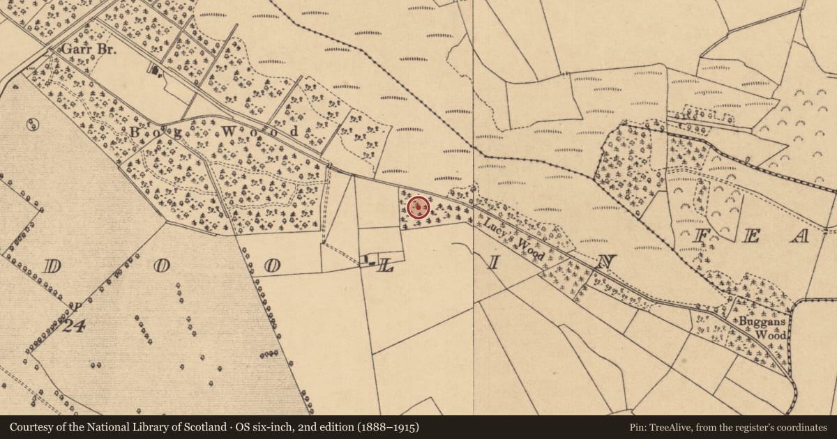 Ordnance Survey six-inch map, 2nd edition (1888–1915) covering the location of Road - unclassified togher, Ballindoolin, County Kildare, with a pin at the register's coordinates
