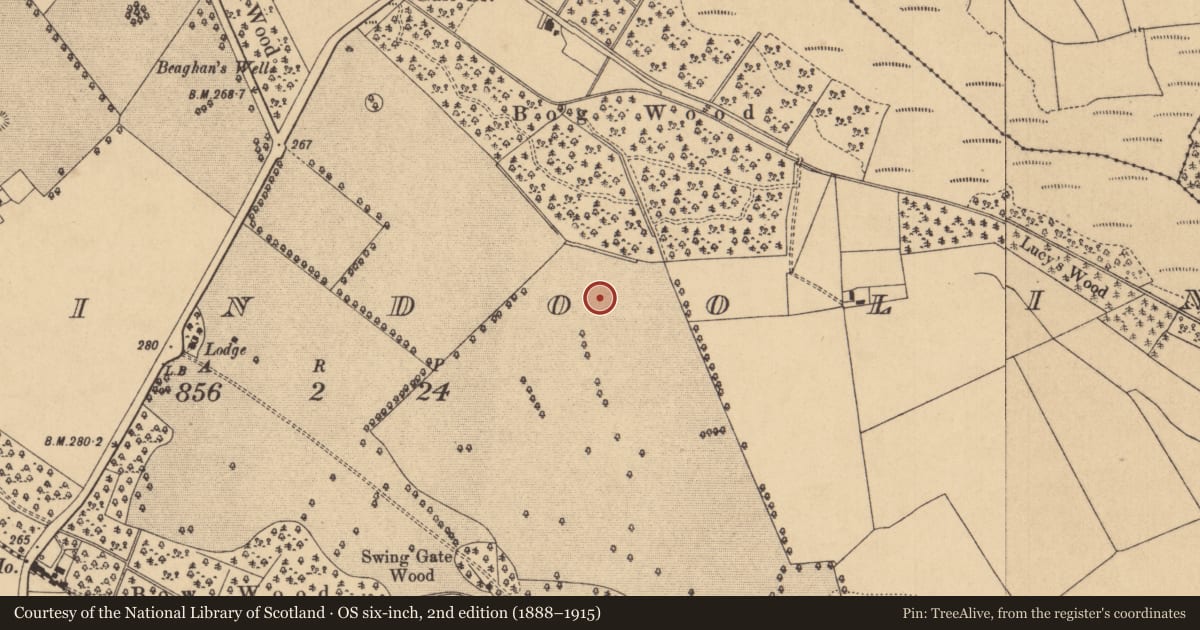 Ordnance Survey six-inch map, 2nd edition (1888–1915) covering the location of Moated site, Ballindoolin, County Kildare, with a pin at the register's coordinates