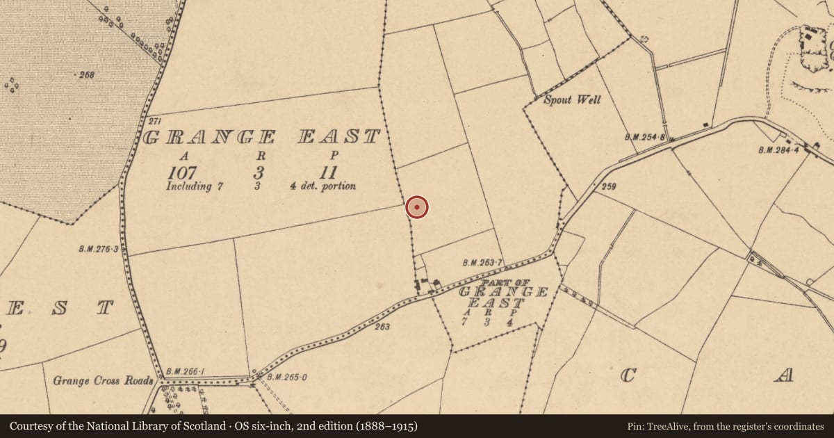 Ordnance Survey six-inch map, 2nd edition (1888–1915) covering the location of Enclosure, Kinnafad, County Kildare, with a pin at the register's coordinates