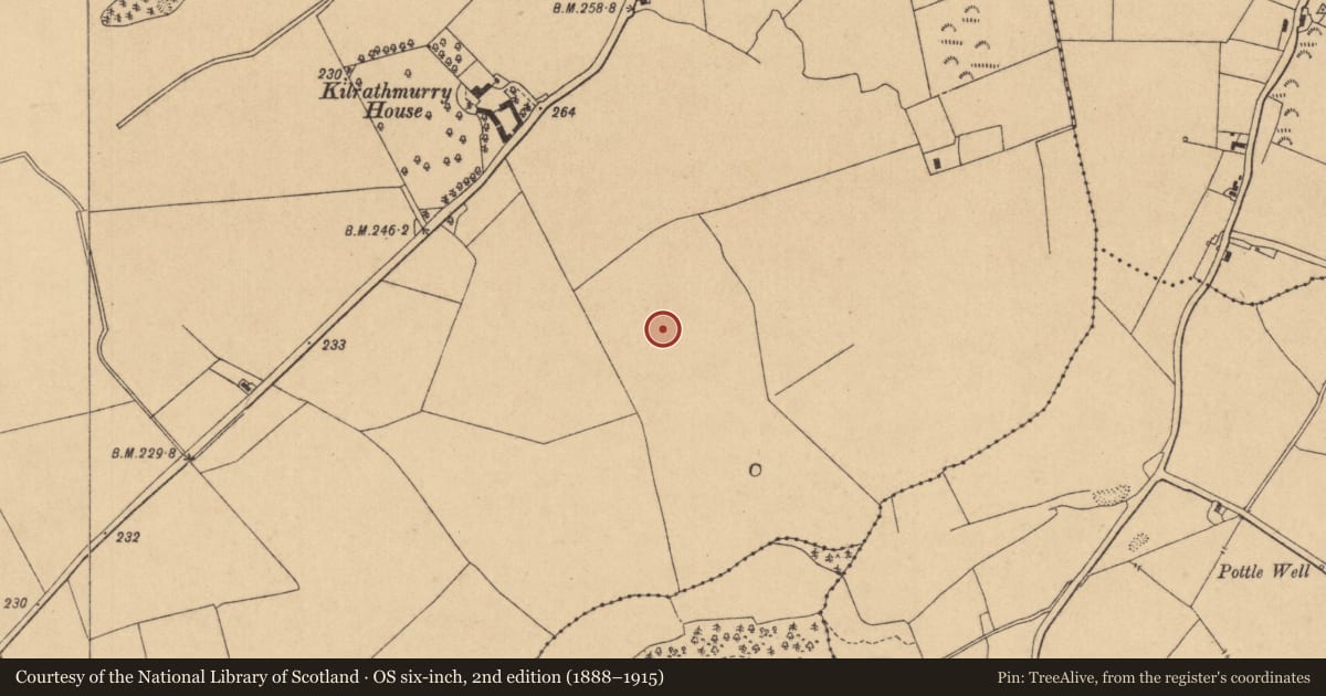 Ordnance Survey six-inch map, 2nd edition (1888–1915) covering the location of House - indeterminate date, Kilrathmurry, County Kildare, with a pin at the register's coordinates