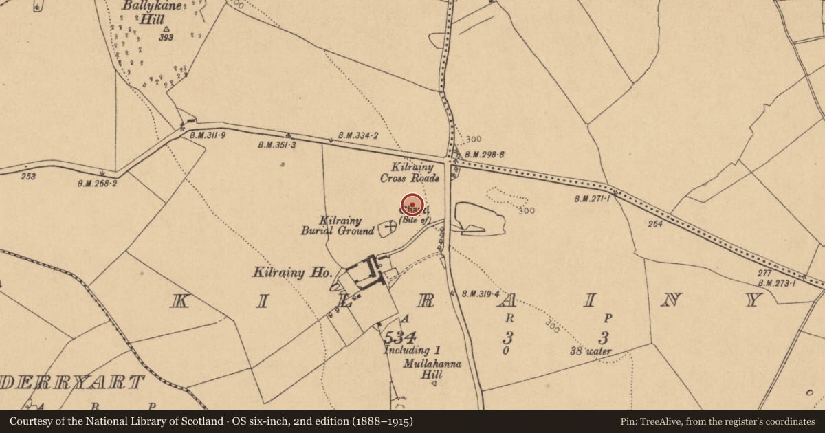 Ordnance Survey six-inch map, 2nd edition (1888–1915) covering the location of Bullaun stone, Kilrainy, County Kildare, with a pin at the register's coordinates