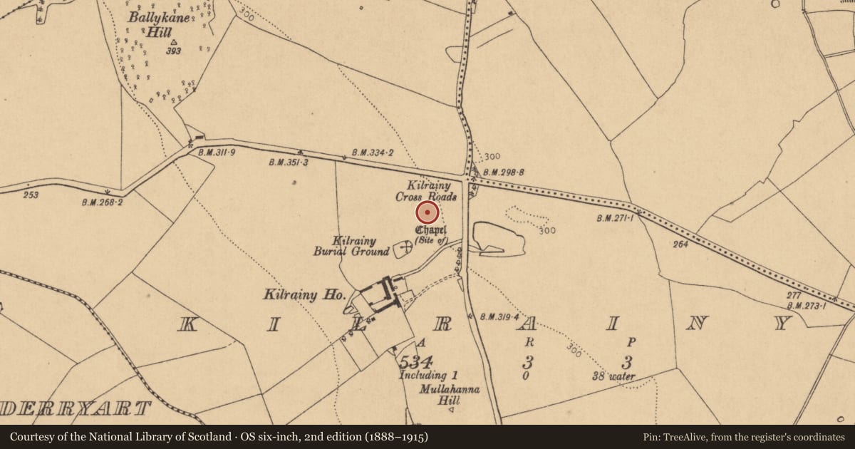 Ordnance Survey six-inch map, 2nd edition (1888–1915) covering the location of Road - road/trackway, Kilrainy, County Kildare, with a pin at the register's coordinates