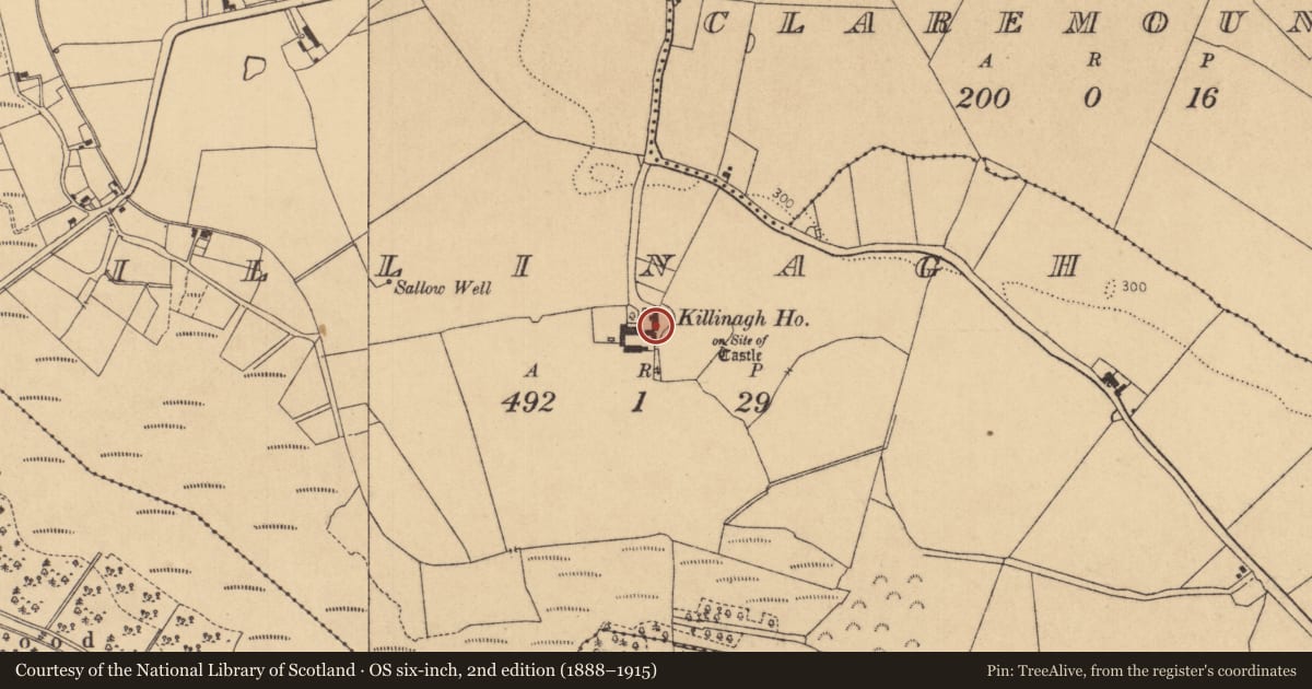 Ordnance Survey six-inch map, 2nd edition (1888–1915) covering the location of Castle - unclassified, Killinagh, County Kildare, with a pin at the register's coordinates