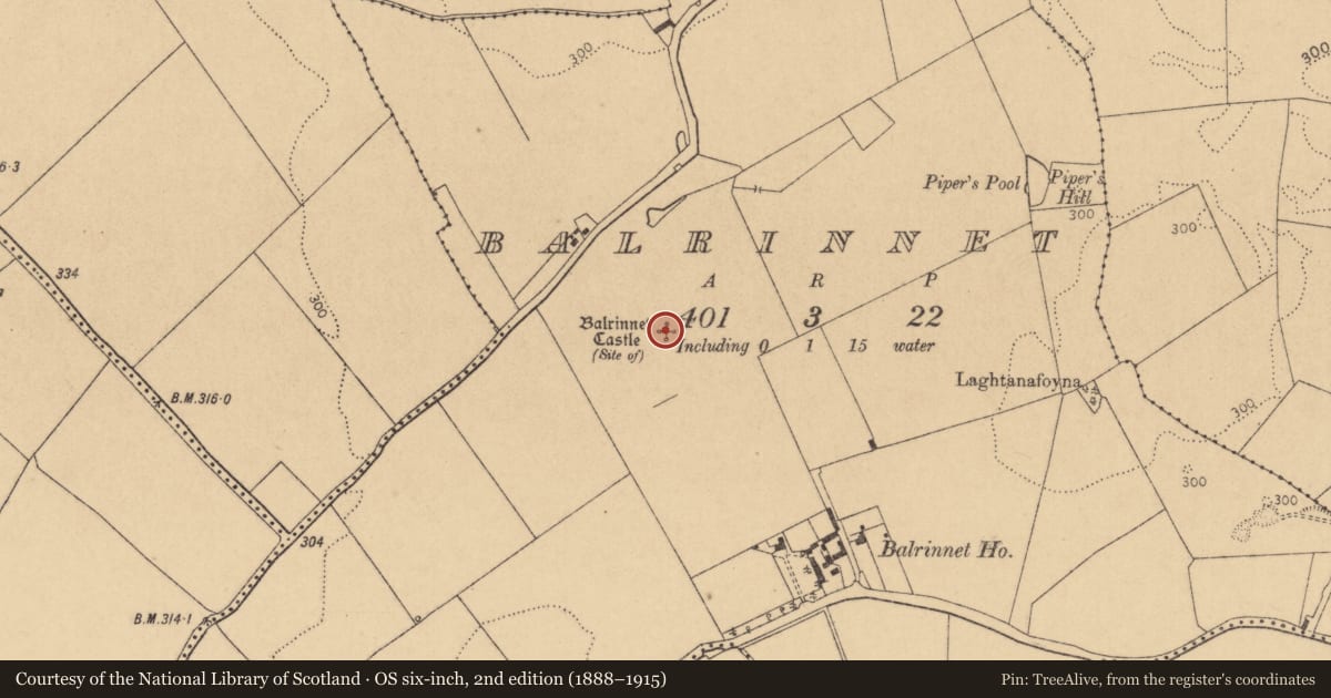 Ordnance Survey six-inch map, 2nd edition (1888–1915) covering the location of Castle - unclassified, Balrinnet, County Kildare, with a pin at the register's coordinates