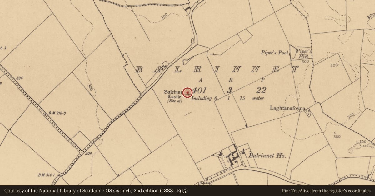 Ordnance Survey six-inch map, 2nd edition (1888–1915) covering the location of Road - hollow-way, Balrinnet, County Kildare, with a pin at the register's coordinates