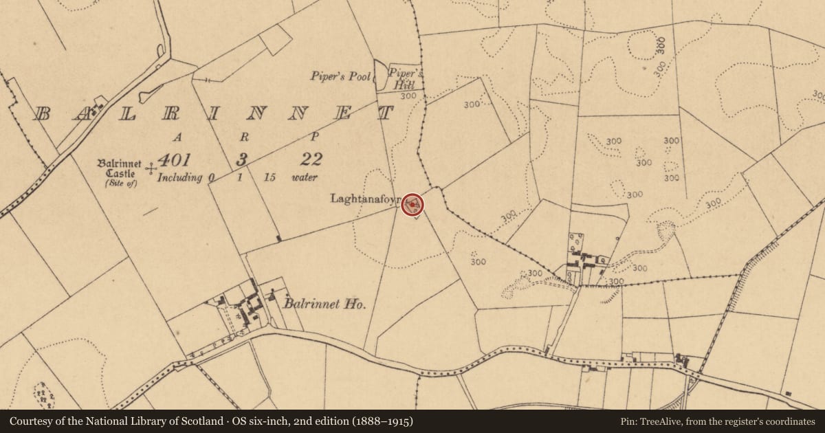 Ordnance Survey six-inch map, 2nd edition (1888–1915) covering the location of Children's burial ground, Balrinnet, County Kildare, with a pin at the register's coordinates